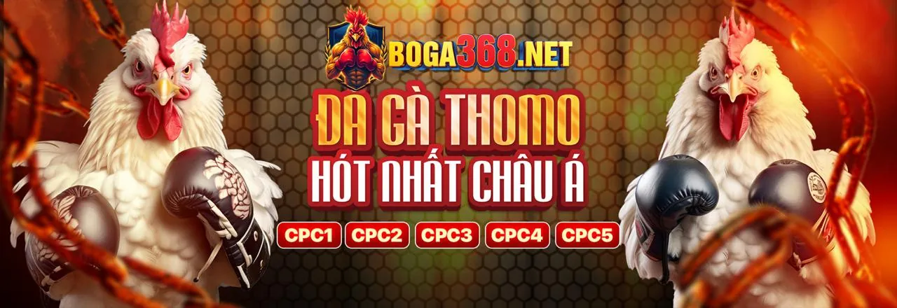 Đặc Quyền VIP Kubet Link Mới